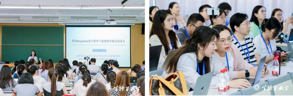 图片3.jpg 图片3.jpg