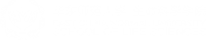U8国际集团